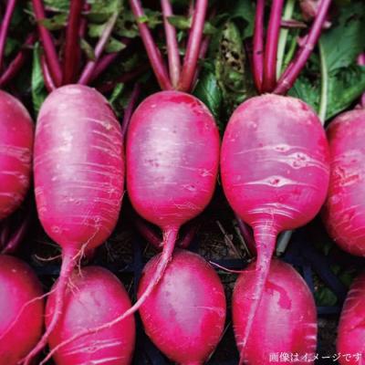 ふるさと納税 糸島市 朝採れ!【 栽培 期間中、 農薬・化学肥料不使用 】 サラダ用 糸島 野菜セット [AGE002] |  | 01