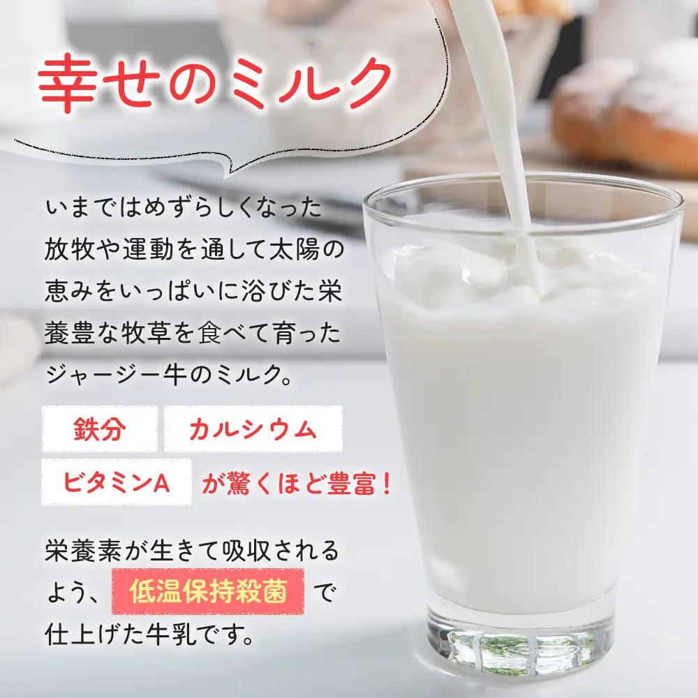 定期便 6ヶ月 幸せのミルク 900ml 3本 ジャージー牛乳 土田牧場 ミルク 牛乳 低温殺菌牛乳  健康 栄養豊富 冷蔵 秋田 秋田県 にかほ市 定期