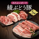 【ふるさと納税】国産 豚肉 ブランド 豚 綾ぶどう豚 お楽しみ セット 食べつくし 詰め合わせ バラエティー ロース とんかつ 肩ロース 生姜焼き バラ 焼肉 もも スライス 小間切れ 調理 日時 指定 可能（22-34）