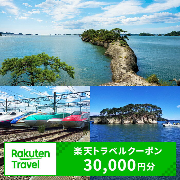 【ふるさと納税】宮城県利府町の対象施設で使える楽天トラベルクーポン 寄付額100,000円
