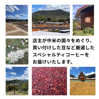 ふるさと納税 豊川市 【毎月定期便】毎月違うコーヒー豆をお届け スペシャルティコーヒー 豆 300g全12回 |  | 02