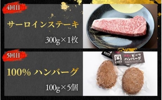 【全5回】美熊野牛 定期便A ＜すき焼きしゃぶしゃぶ用ロース＆赤身モモ肉 400g・切り落とし 400g・焼肉用6種食べ比べ 500ｇ・サーロインステーキ 300g×1枚・100％ハンバーグ 100g