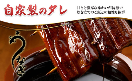 【定期便】二か月毎おとどけ 鰻 かばやき 二尾 2400g～ うなぎ 蒲焼き 炭火焼 たれ 鰻 蒲焼