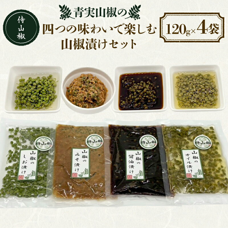 【ふるさと納税】侍山椒 青実山椒の四つの味わいで楽しむ山椒漬けセット 各種120g 味噌漬け しょうゆ漬け 塩漬け オイル漬け セット 発酵食品 食品 F4D-2207