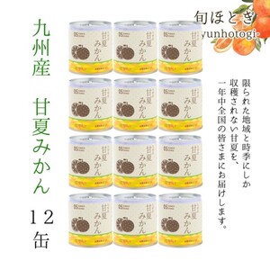 【B8-007】缶詰工場直送　特選果実「旬ほとぎ」甘夏みかん　12缶