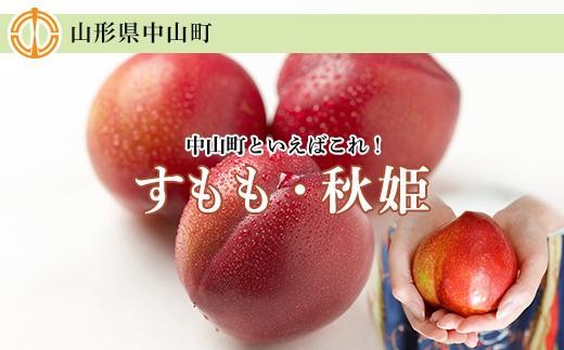 【2026年度受付開始】☆中山町といえばこれ！すもも「秋姫」秀 5L～6L　8～9玉入り2.4kg（1.2kg×2パック）