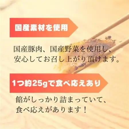 創業昭和五十三年　すすきの　冷凍にんにく生餃子　25g×11個　5パック　計55個【餃子のタレ付き】【配送不可地域：離島・北海道・沖縄県・四国・九州】【1619078】