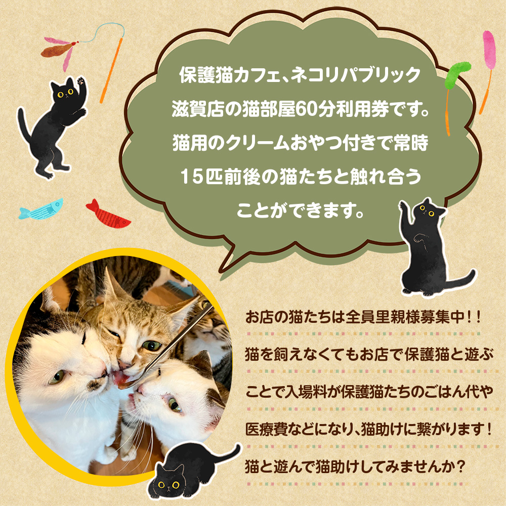 保護猫支援 猫部屋１名６０分利用券 ドリンク・猫のおやつ付き BR05