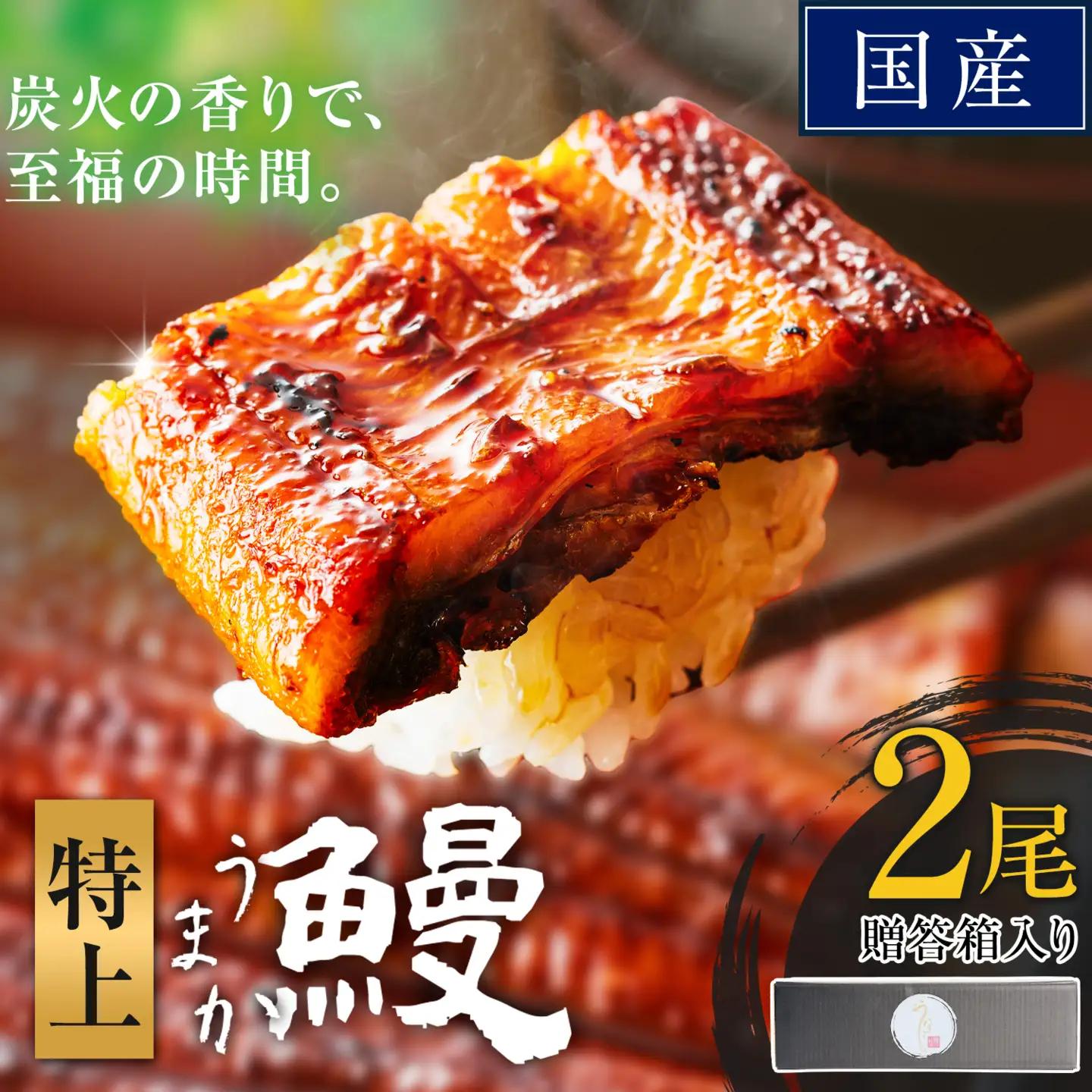 うなぎ 特上サイズ 2尾 贈答箱入り 鰻 《30日以内に出荷予定(土日祝除く)》