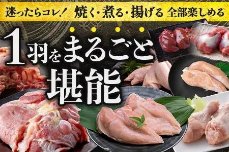 みやざき地頭鶏 1羽をまるごと堪能セット 約1.6kg 冷凍｜鶏肉 地鶏 モモ ムネ ササミ 手羽先 手羽元 レバー 砂肝 ガラ 1羽まるごと ロースト チキン じとっこ 真空パック 興洋開発株式会社
