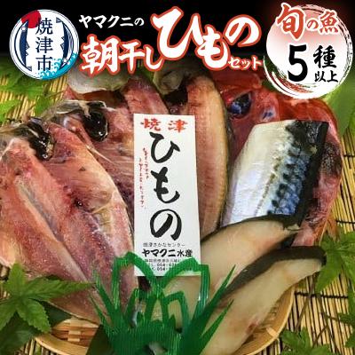 ふるさと納税 焼津市 【チルドでお届け】朝干しひものセット5種以上!(a10-431)