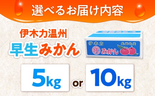 5kg【3回定期便】伊木力温州早生みかん5kg(ご家庭用、箱入り) / 伊木力 温州みかん みかん ミカン 蜜柑 佐瀬 諫早 多良見 長崎 早生　/ 末永果樹園 [AHBD011]