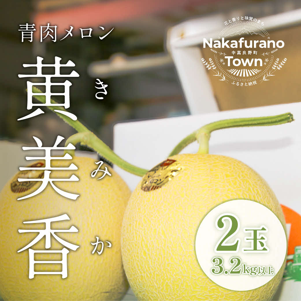 【ふるさと納税】【2025年発送】中富良野産　黄美香（青肉）メロン2玉（3.2kg以上）