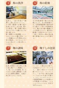梅干し 新登場！200g しそ梅干し【khs124】