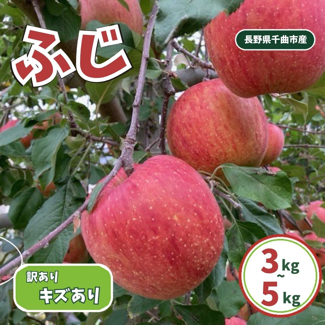 【ふるさと納税】訳あり ふじ 家庭用 キズ有り 約3kg~約5kg| 林檎 リンゴ アップル 果物 くだもの フルーツ 長野県産 信州林檎 信州りんご 信州 長野 千曲市
