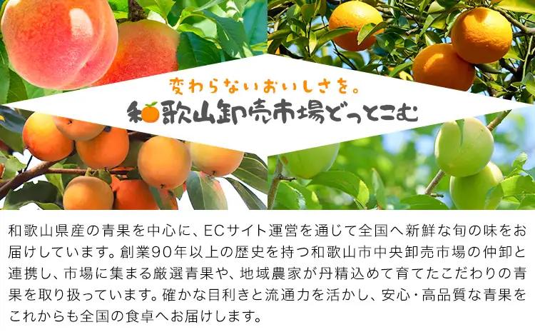訳あり 柿 紀の川柿 約8kg