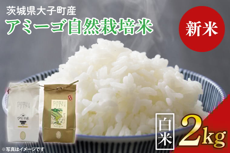 
            【新米先行予約】【2025年11月中旬頃順次発送予定】令和7年産 新米 2kg アミーゴ米 【白米】（コシヒカリ・自然栽培米（７年目）・天日干し米）｜茨城県 大子町 袋田 米 精米 おだがけ米 はざがけ米 いねかけ米 先行予約 農福連携 コシヒカリ 白米（CA001）
          