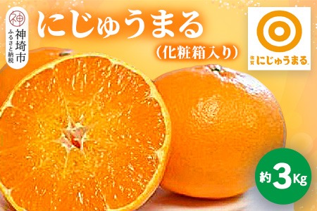 【2026年3月上旬より発送開始】にじゅうまる 約3kg 化粧箱入り【佐賀県 みかん 柑橘 果物 くだもの フルーツ】(H116161)