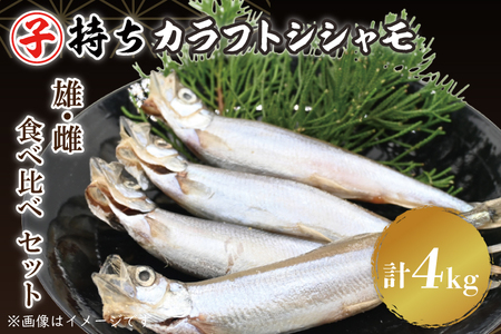 ししゃも雄雌食べ比べ ４ｋｇ セット 訳アリ シシャモ ししゃも カラフトししゃも 大洗 規格外 訳あり わけあり 傷_AV012