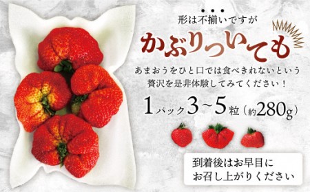 ★大玉規格★博多あまおう2パック【2024年1月より順次発送】約560g[E2224a]