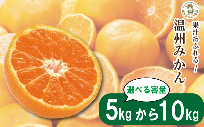 
            【2025年10月順次発送】 温州みかん 5kg 10kg  みかん 温州みかん 完熟 柑橘 果物 フルーツ 国産 新鮮 お中元 甘い 農家直送 【北海道、東北、離島、沖縄配送不可】
          