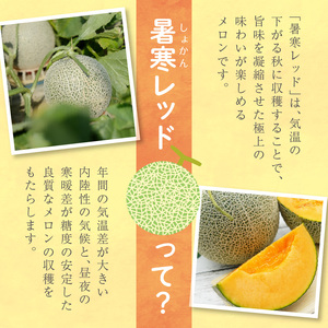 【 7月青肉・9月赤肉発送】北海道の贅沢　暑寒メロン食べ比べ2回便 【各2玉づつ】