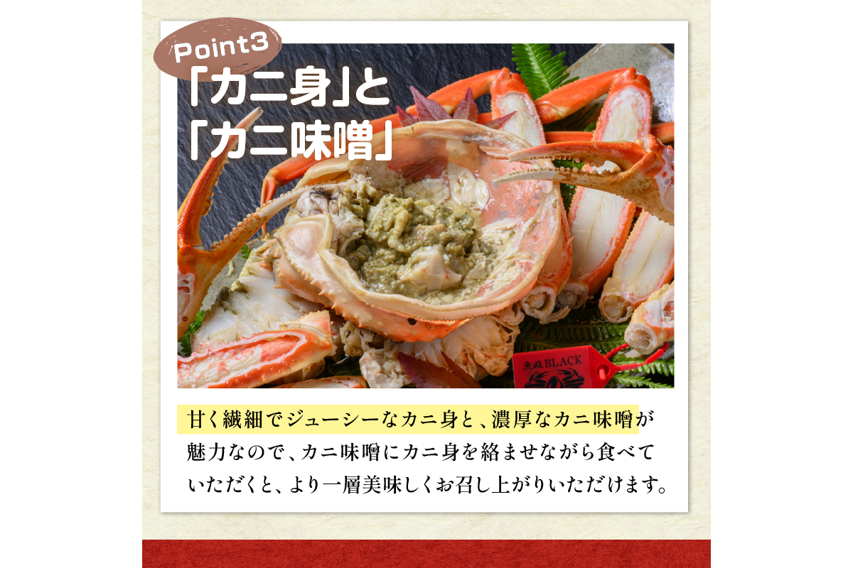 訳あり　【蟹の匠 魚政】茹で　プレミアムズワイガニ 魚政BLACK（松葉ガニ・越前ガニ） 大サイズ（1000～1100g） 2匹セット(1月～3月発送） 松葉蟹 蟹 かに カニ ガニ がに ボイル ま