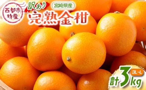 【先行予約】宮崎県西都市産　訳あり完熟きんかん　3kg（3L～L）＜1.2-41＞W