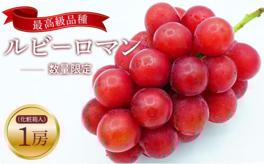 
            【2026年先行予約】【数量限定】JA金沢市 ルビーロマン | 金沢市産 ブドウ ぶどう 高級ブドウ 高級ぶどう 高級葡萄 フルーツ 葡萄 高級 夏ギフト ギフト 贈答用 プレミアム 特産品 ふるさと納税 果実 果物デザート 瑞々しい 旬の味覚 甘味 高級品 フルーツプレゼント 石川県 人気 おすすめ 送料無料
          