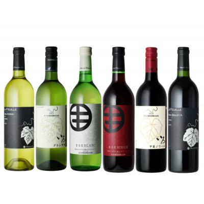ふるさと納税 甲州市 エムズギフトが贈る『まるき葡萄酒おススメ6本セット』　E-622