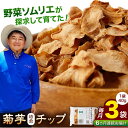 【ふるさと納税】【全6回定期便】【数量限定】菊芋 焙煎 チップ 120g (40g×3パック)【グリーンファーム矢部】[YDC009]