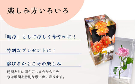 生花氷 ガーベラ (12cm×12cm×25cm) 約4kg 氷 花 インテリア プレゼント ギフト  大村市 大村製氷[ACAB135]