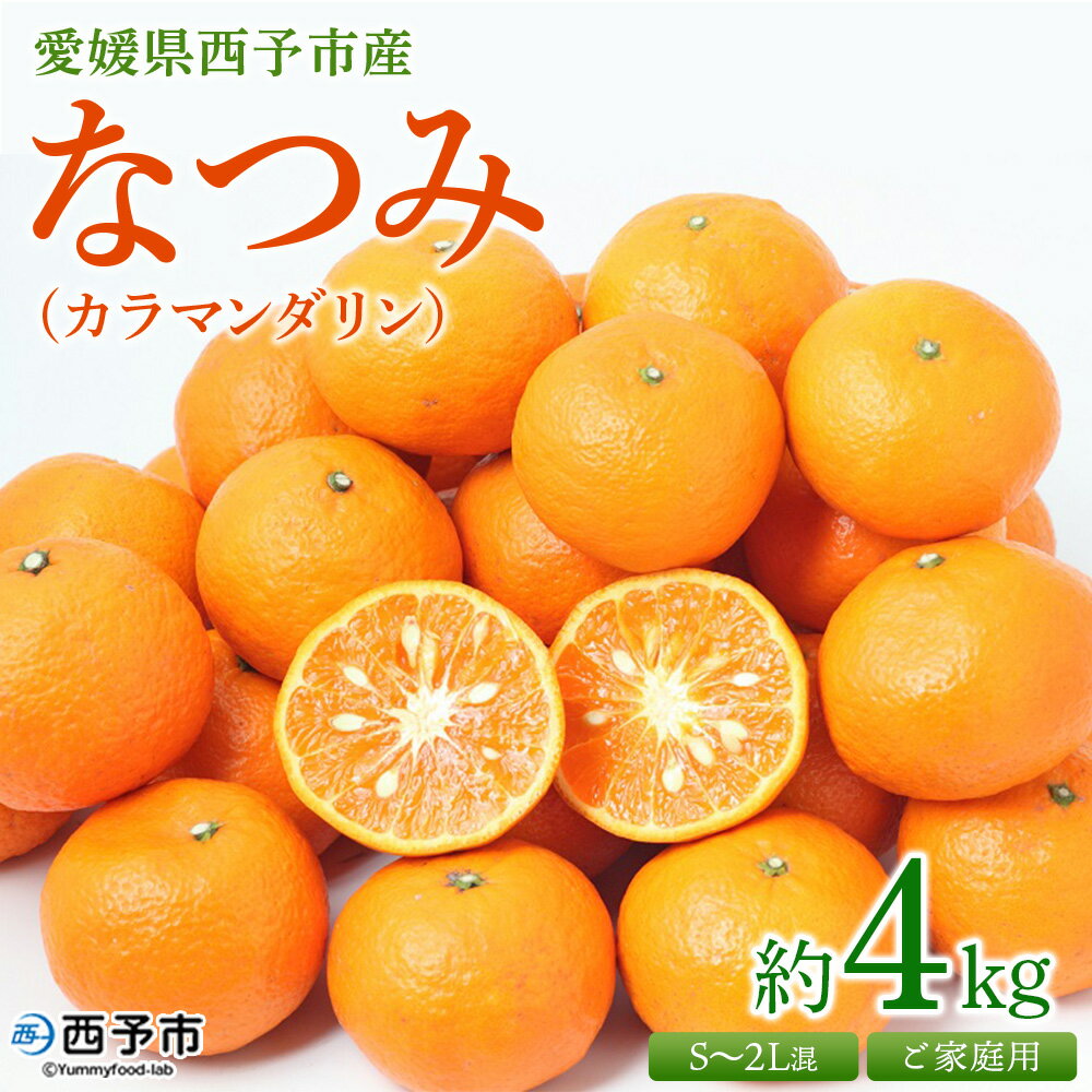 【ふるさと納税】＜愛媛県西予市産 なつみ（カラマンダリン）ご家庭用 約4kg＞ 訳あり 不揃い 果物 くだもの フルーツ みかん ミカン 蜜柑 柑橘 オレンジ おれんじ ナツミ 食べて応援 特産品 宇都宮物産 愛媛県 西予市【常温】『2025年4月上旬～5月上旬迄に順次出荷予定』