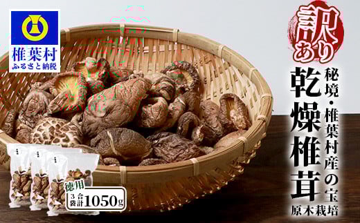 【訳あり】【徳用】秘境・椎葉村産 原木 乾しいたけ 900g（300g×3袋）【森林率96％の村の宝】［送料無料 宮崎県産 国産 原木椎茸 椎茸 シイタケ しいたけ 乾しいたけ 干し椎茸 産地直送 きのこ グアニル酸 ビタミンD おすすめ 栄養 美容 食物繊維 煮物 みそ汁 汁もの ダシ 出汁 鍋 特産品 ご当地 お取り寄せ 大容量 調味料 ギフト 贈物 プレゼント お中元 お歳暮］【JA-34】