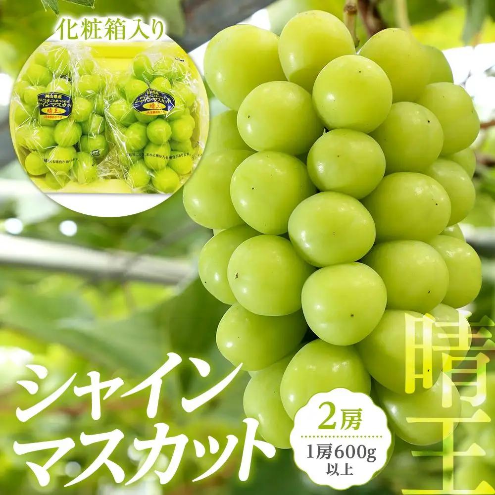 ぶどう 2026年 岡山県産 シャインマスカット 『晴王』2房 (1房600g以上)  化粧箱 入り | 葡萄 シャインマスカット フルーツ 果物 くだもの フレッシュ 国産 岡山 食品 人気 おすすめ 送料無料 ギフト 贈り物 贈答品
