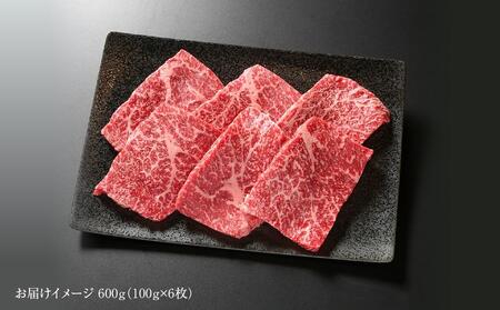 飛騨牛 赤身 ステーキ 600g（100ｇ×6枚）| 肉 牛肉 人気 ステーキ 贅沢 赤身 モモ 贅沢 厚切り BBQ 大容量 箱入り 真空パック おすすめ 飛騨高山 【飛騨高山ミート MZ018】