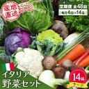 【ふるさと納税】年間定期便48回 イタリア野菜セットラージ 14品 【有機野菜 おまかせ野菜セット イタリア野菜 西洋野菜 定期便】(H078136)