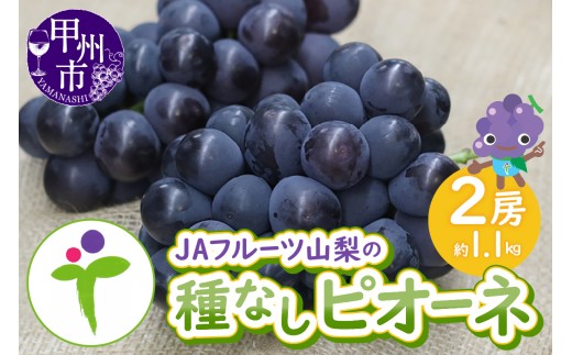 JAフルーツ山梨 甲州市産種なしピオーネ2房【80】【2026年発送】B-105【ピオーネ ぶどう 葡萄 ブドウ 令和8年発送 期間限定 山梨県産 甲州市 フルーツ 果物】