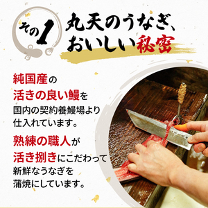 うなぎ 定期便 全6回 国産 蒲焼 120g × 2尾 計1440g