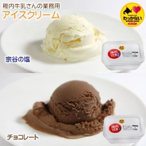 【 業務用 】 稚内牛乳 アイスクリーム 2L×2個 ( 宗谷の塩 ＆ チョコレート ) と 珍味【配送不可地域：離島・沖縄県】