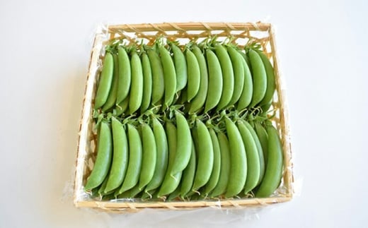 【2026年4月下旬より順次発送】和らぎ農法 豆まめ まんぷく便 （栽培期間中、農薬・化学肥料・動物性堆肥不使用）/ スナップエンドウ セット 詰め合わせ 新鮮 野菜 旬 新鮮 スナップエンドウ えんどう豆 エンドウ 豆 / 滋賀県 栗東市 / ワダケン リアルソイルハウス[BIBM003]