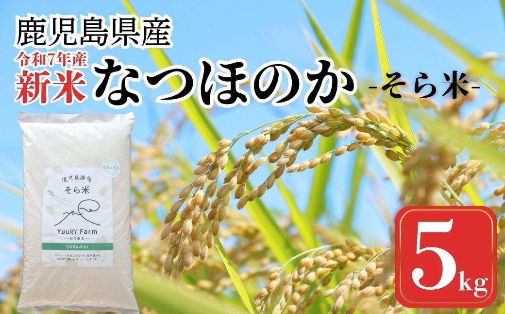 
            A93003 農家直送 令和7年産 新米 鹿児島県産 なつほのか 5kg 国産 自家精米 精米 白米 ごはん ご飯 お米 コメ こめ【悠希農園】
          