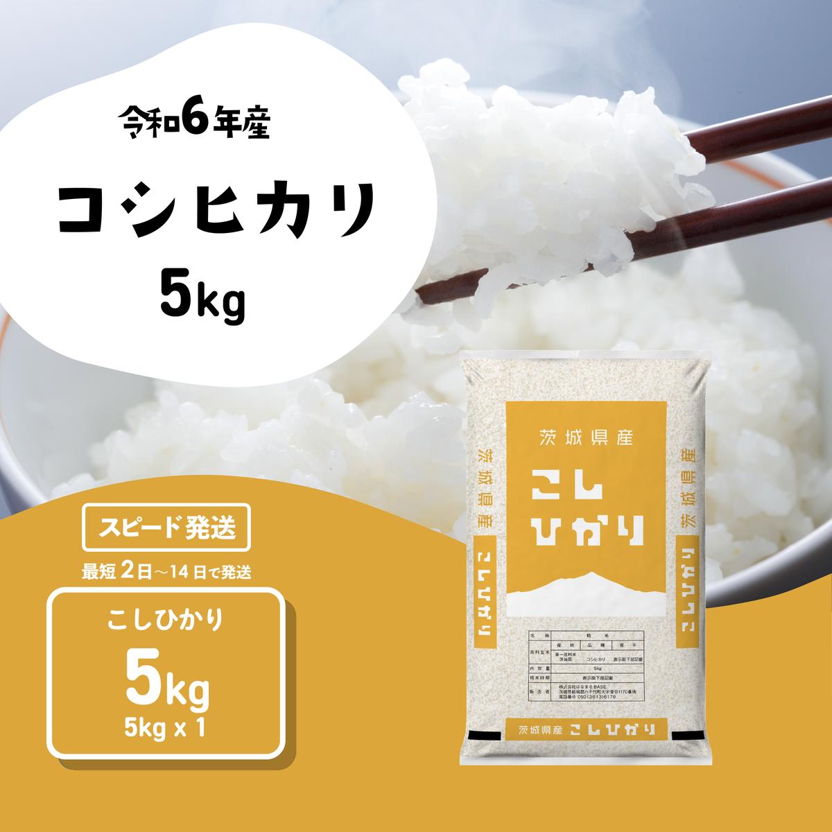 【スピード発送】コシヒカリ 5kg (5kgx1袋) 令和6年産 茨城県産 こしひかり 白米 精米 茨城県 八千代町 お米 米 [SF271yai]