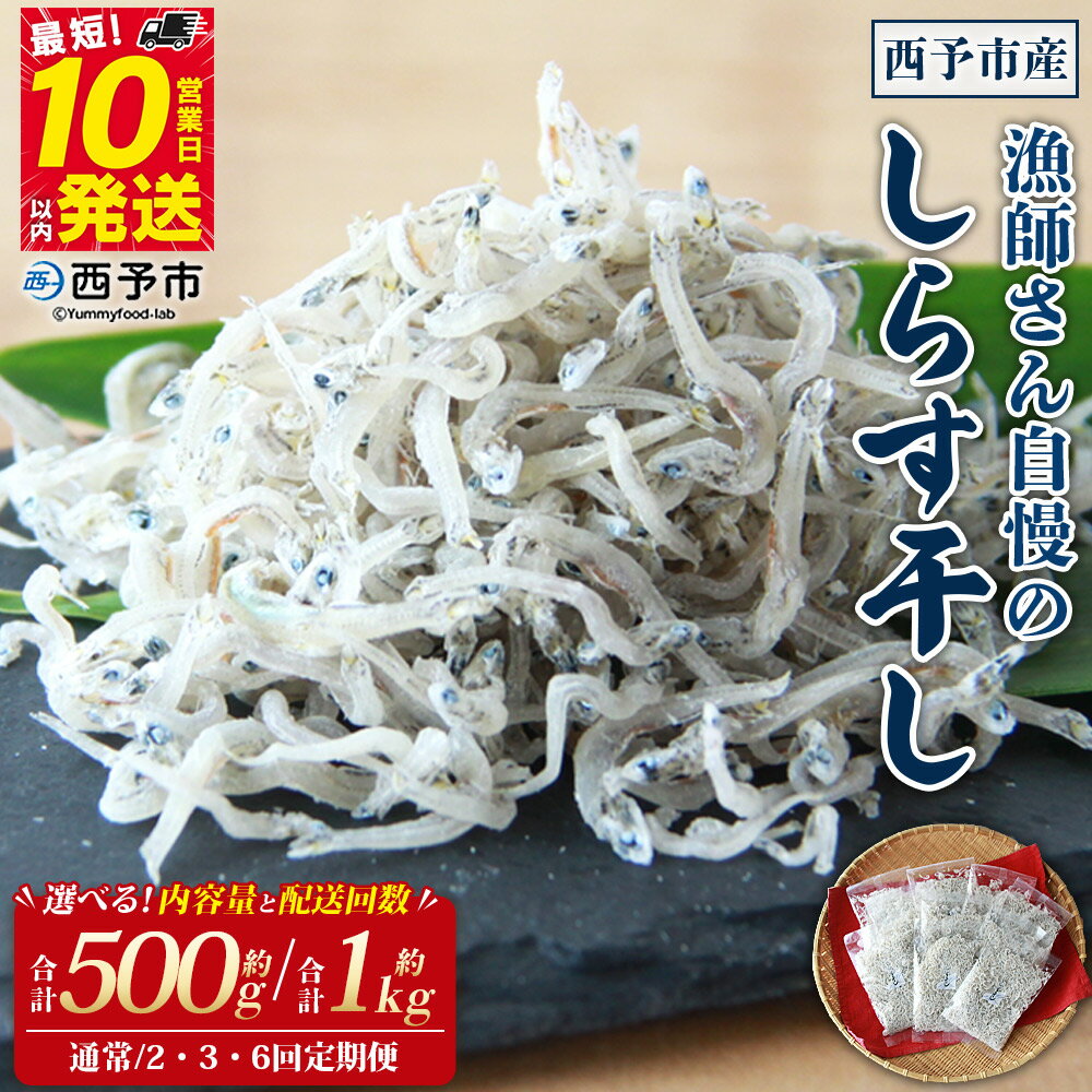 【ふるさと納税】＜漁師さん自慢のしらす干し 合計500g/1kg 配送回数：1～6回＞ 選べる 内容量 定期便 シラス 魚介類 さかな 海産物 海鮮 海の幸 小分け 国産 ご飯のお供 丼 晩酌 おかず 特産品 濱田水産 愛媛県 西予市 【冷凍】『通常：最短10営業日以内に順次発送予定』