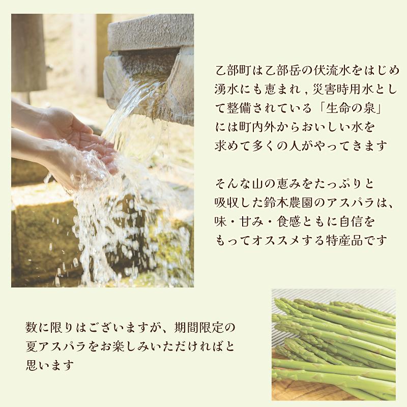 【予約受付中！7月中旬頃発送予定】＜北海道産 夏採れグリーンアスパラ 2㎏＞シャッキリみずみずしい味わい！！_イメージ2