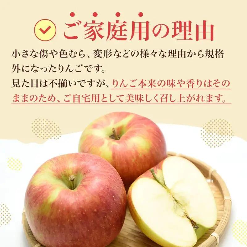 りんご シナノスイート 約10kg 24～40玉入 りんご