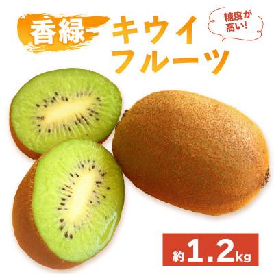 ふるさと納税 丸亀市 キウイフルーツ 香緑 約1.2kg 冷蔵 香川県 丸亀市