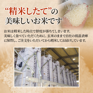 令和8年産 先行予約 新潟 米 定期便 みずほの輝き 新米 【6ヶ月連続お届け】5kg×6回 30kg 30キロ 6か月 上越市 新潟県 おすすめ 限定