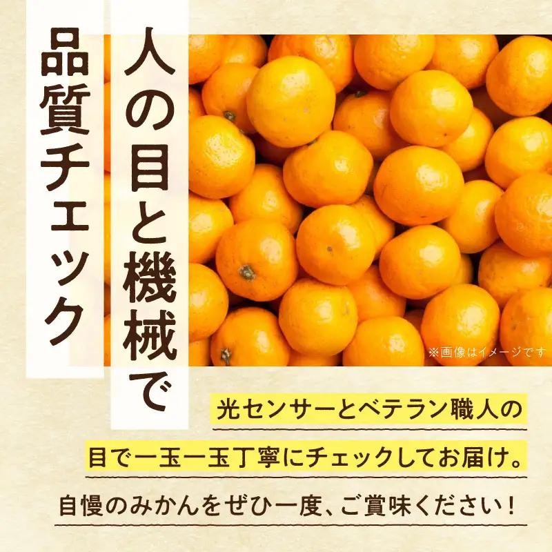 《2026年11月上旬～2027年1月上旬頃に順次発送》【2026年先行予約】家庭用 小玉な有田みかん約5kg+250g（傷み補償分）【わけあり・訳あり】【光センサー選果】_ZH7109