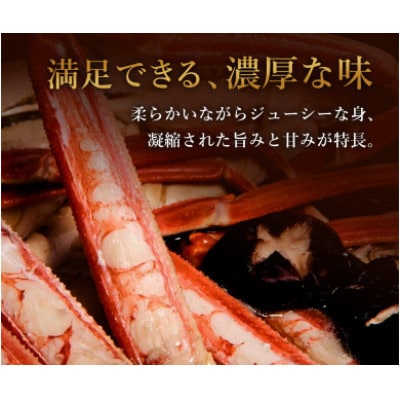 【蟹セレブ】ズワイガニ(紅ズワイガニ)1.8kg箱詰め(600g前後×3杯)【配送不可地域：離島・北海道・沖縄県・東北・関東・信越、北陸・東海・九州】